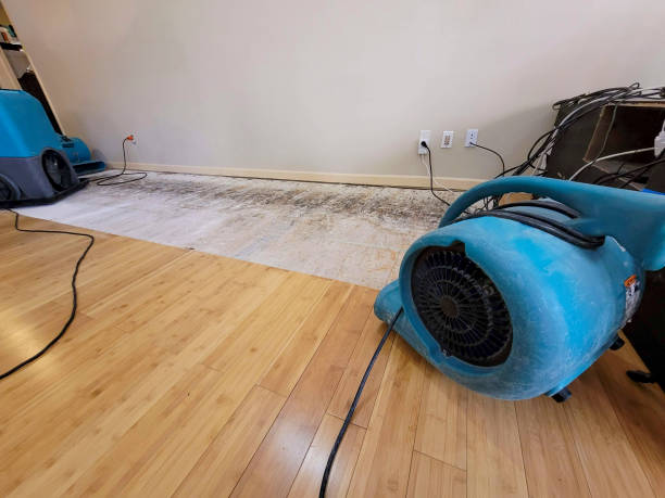 Professional Basement Flood Cleanup technician working in Durant, MS